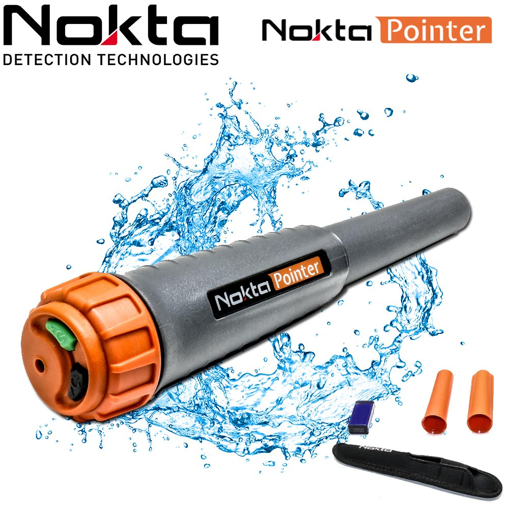 pinpointer nokta pointer