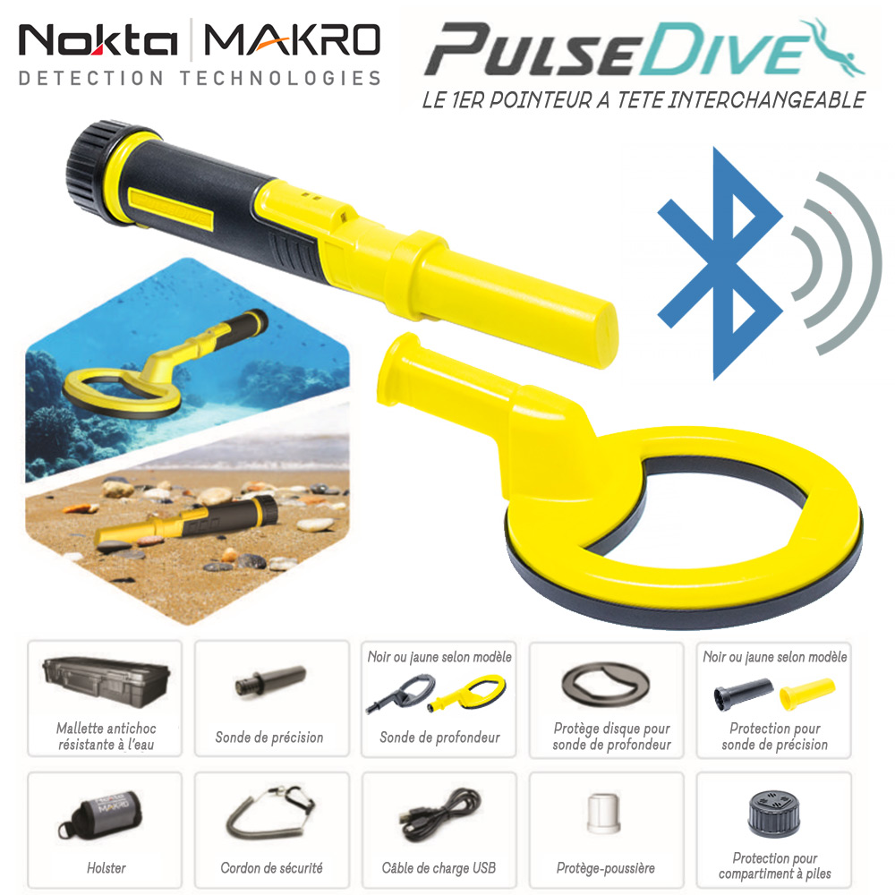 promotion Pulse DIve